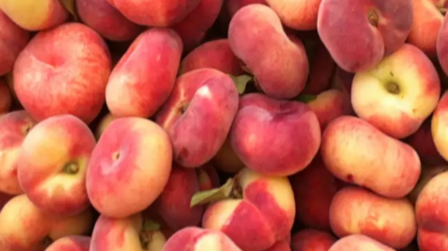 هلو انجیری درجه یک