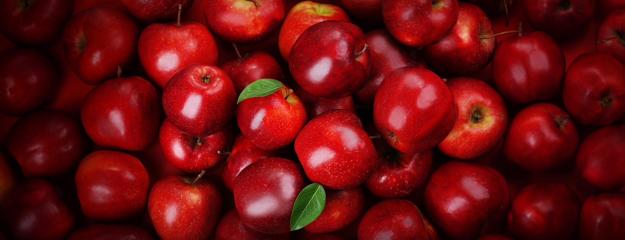 سیب درجه یک